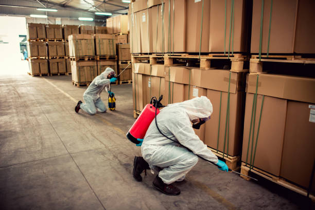 Best Pest Prevention Services  in Century, FL