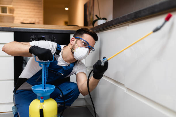 Trusted Century, FL Pest Control Experts