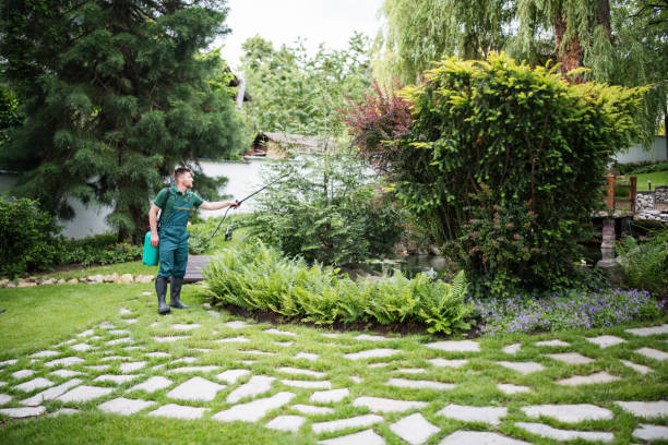 Best Mosquito Control Services  in Century, FL